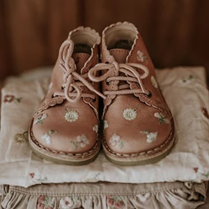 کفش و پاپوش